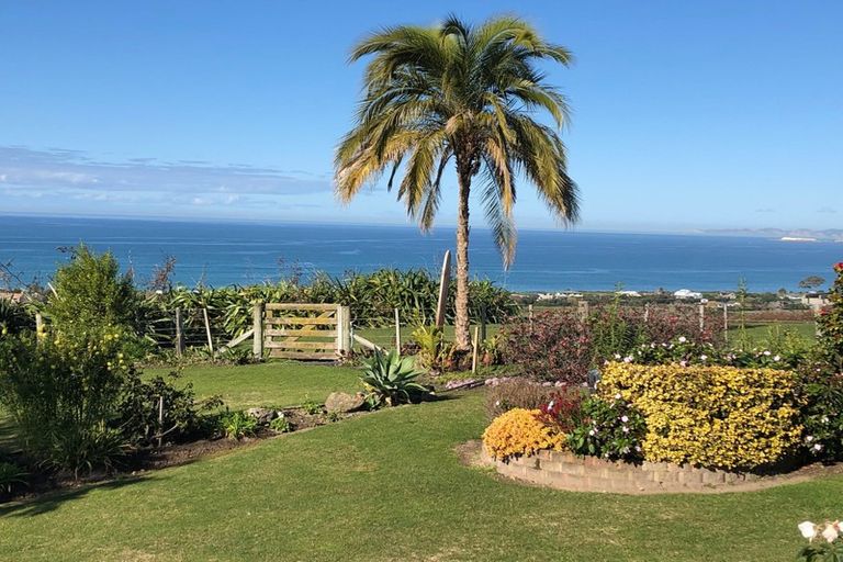 Photo of property in 787 Main North Road, Bay View, Napier, 4182