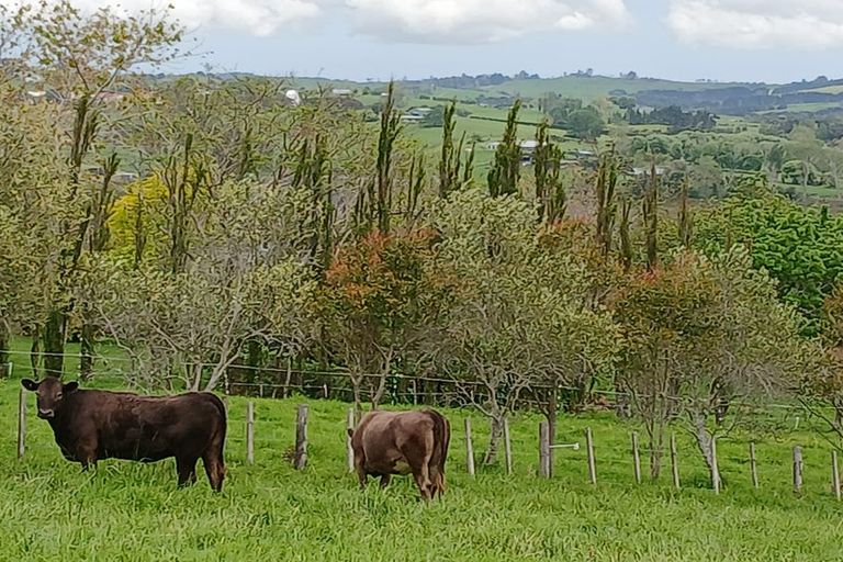 Photo of property in 156 Petley Road, Paparoa, 0571