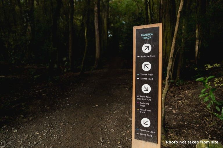 Photo of property in 135 Shetland Street, Wakari, Dunedin, 9010