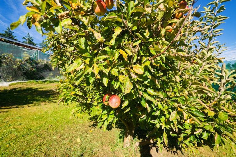 Photo of property in 317 Caseys Road, Blind River, Seddon, 7285