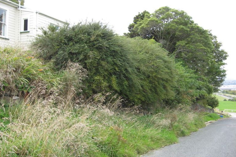 Photo of property in 5 Ballance Street, Caversham, Dunedin, 9011