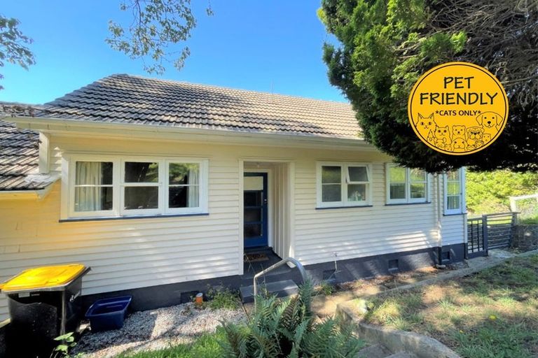 Photo of property in 62 Waimea Avenue, Calton Hill, Dunedin, 9012