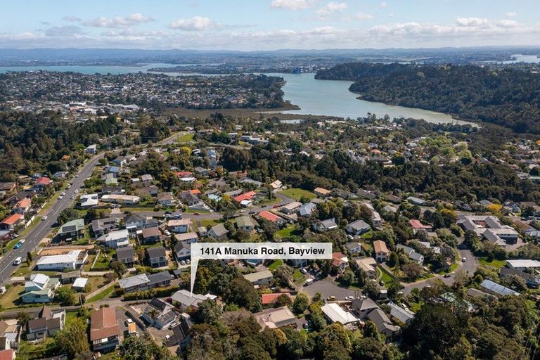 Photo of property in 141a Manuka Road, Bayview, Auckland, 0629