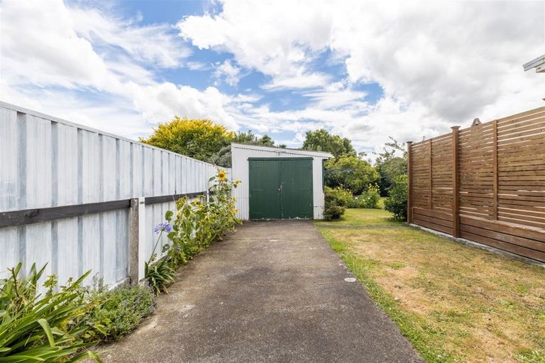Photo of property in 61 Manson Street, Terrace End, Palmerston North, 4410