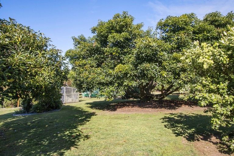 Photo of property in 360 Wharawhara Road, Tahawai, Katikati, 3178