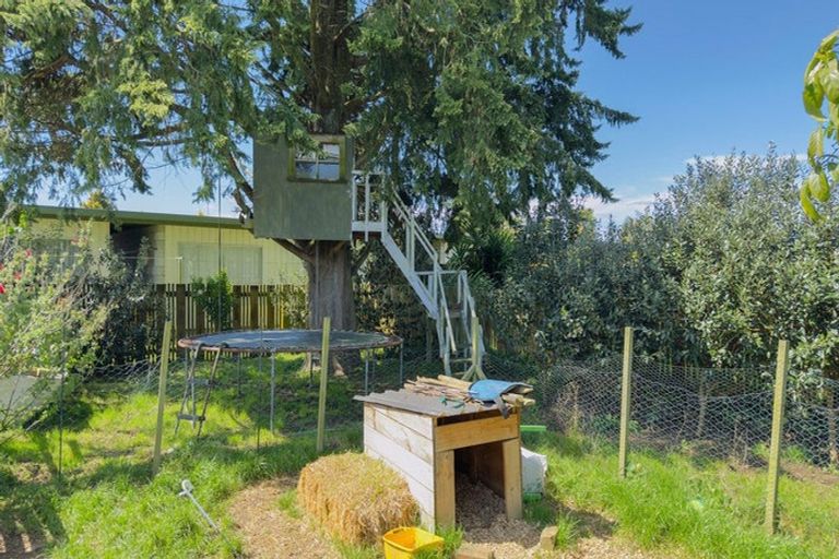 Photo of property in 11 Miro Street, Matamata, 3400