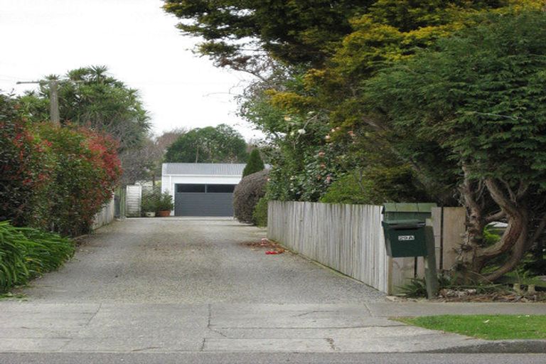 Photo of property in 29a Roosevelt Street, Levin, 5510