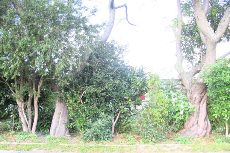 Photo of property in 39 Southwark Avenue, Tamatea, Napier, 4112