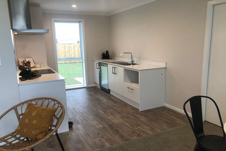 Photo of property in 87 Hinemoa Street, Levin, 5510