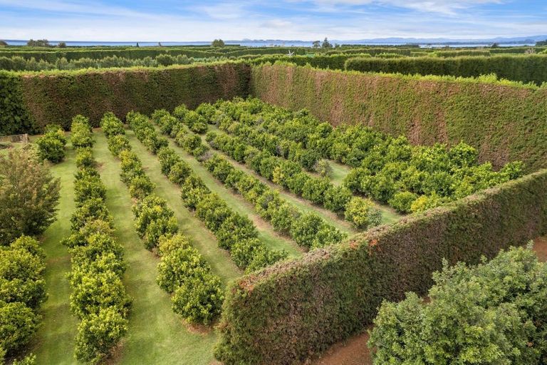 Photo of property in 92 Pukakura Road, Katikati, 3178