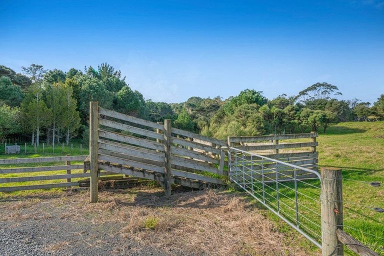Photo of property in 499 Shelly Beach Road, South Head, Helensville, 0874