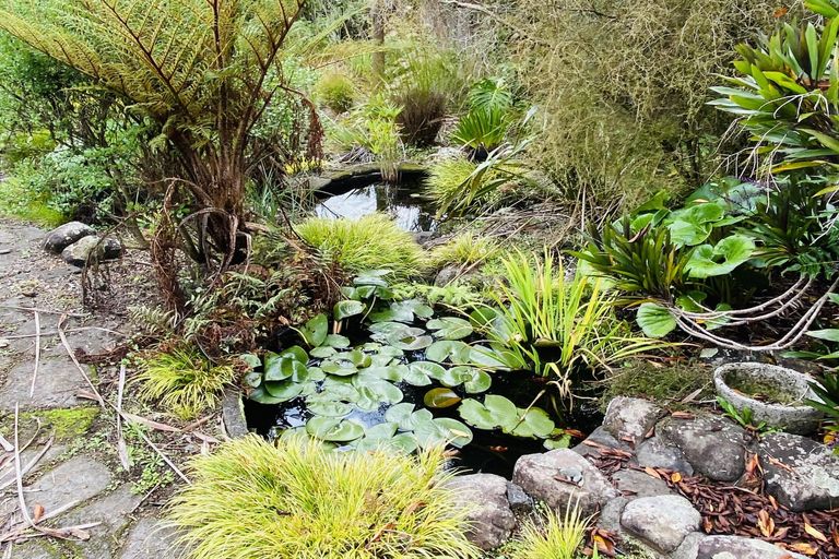 Photo of property in 34a Jennings Road, Waipapa, Kerikeri, 0295