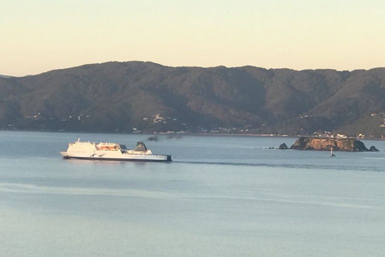 Photo of property in 16 Tai Paku Paku Road, Karaka Bays, Wellington, 6022