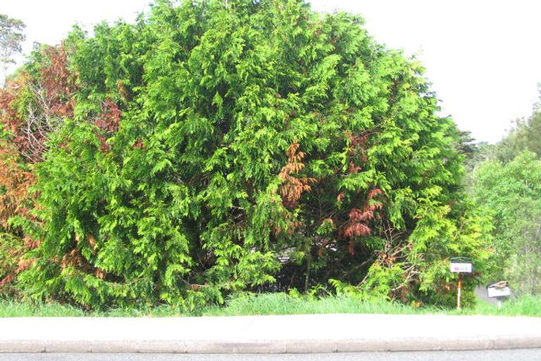 Photo of property in 4/54a Ambler Avenue, Glen Eden, Auckland, 0602