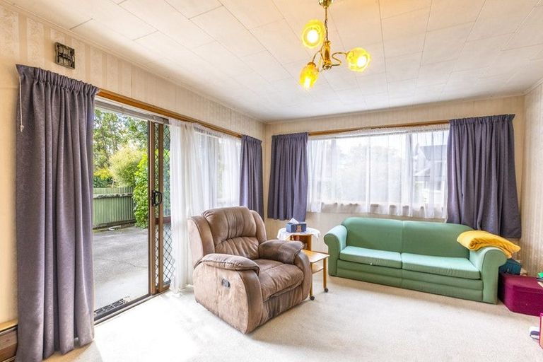 Photo of property in 48a Vigor Brown Street, Napier South, Napier, 4110