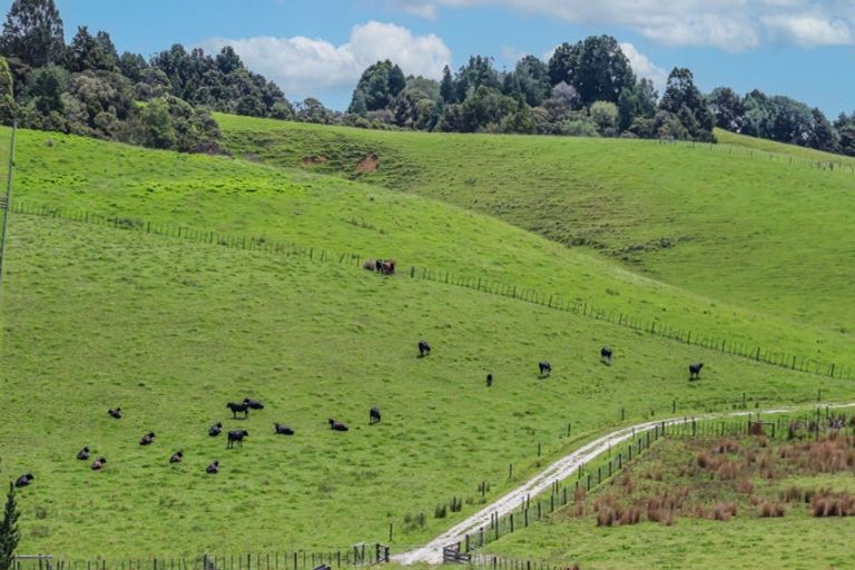 Photo of property in 76 Wyllie Road, Warkworth, 0981