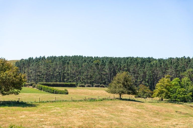 Photo of property in 546 Trig Road, Waihi, 3681