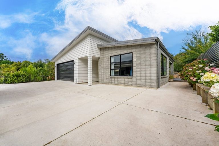 Photo of property in 30 Ipswich Street, Hampden, 9410