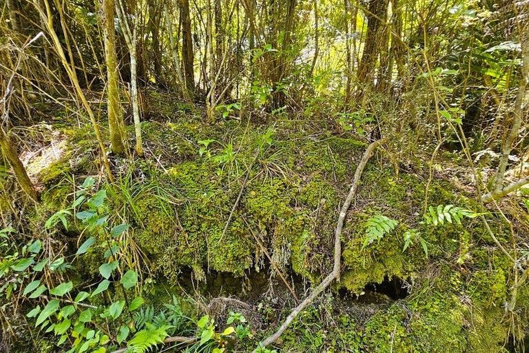 Photo of property in 1340 Paponga Road, Kohukohu, 0491