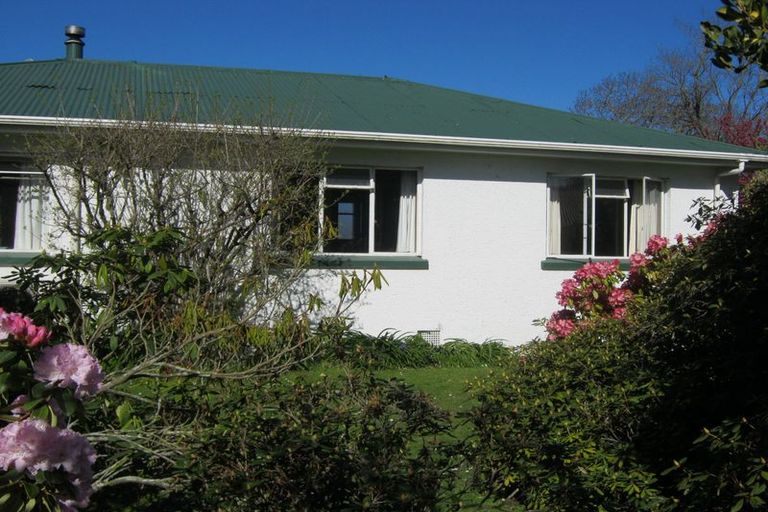 Photo of property in 17 Taylor Street, Geraldine, 7930