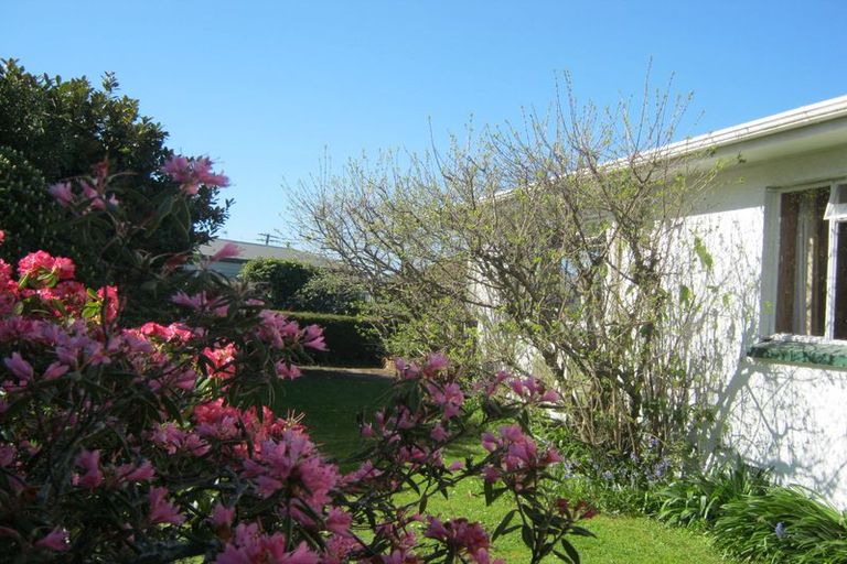 Photo of property in 17 Taylor Street, Geraldine, 7930