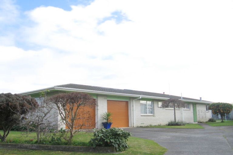 Photo of property in 44 Southwark Avenue, Tamatea, Napier, 4112