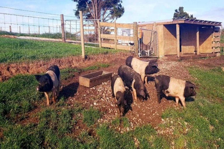 Photo of property in 679 Silver Hill Road, Wellsford, 0974