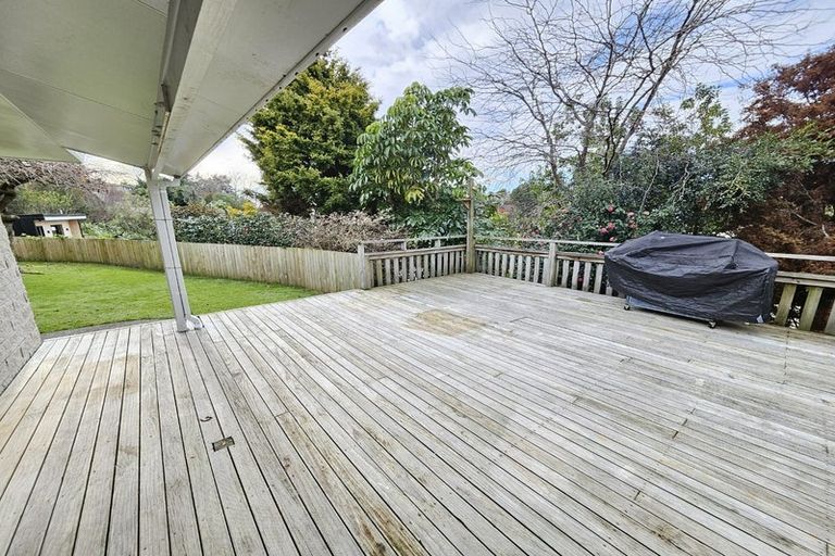 Photo of property in 9 Sheppard Street, Gate Pa, Tauranga, 3112