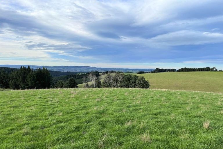 Photo of property in 318 Hillend Road, Hillend, Balclutha, 9272