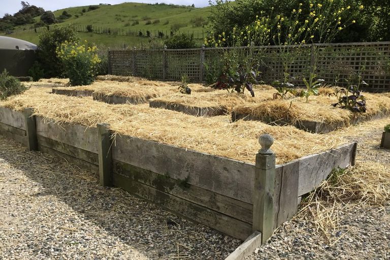 Photo of property in 202 Blackbird Valley Road, Upper Moutere, 7175