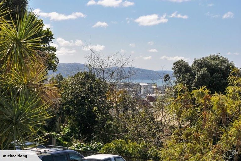 Photo of property in Sherwood Mews, 28a Bidwill Street, Mount Cook, Wellington, 6021