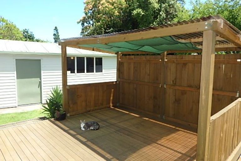 Photo of property in 54 Churchill Avenue, Maeroa, Hamilton, 3200