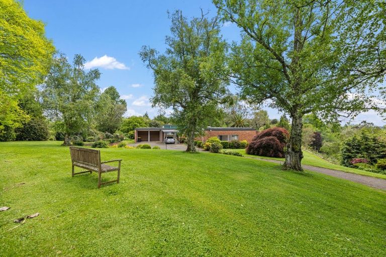 Photo of property in 16 Norrie Place, Putaruru, 3411