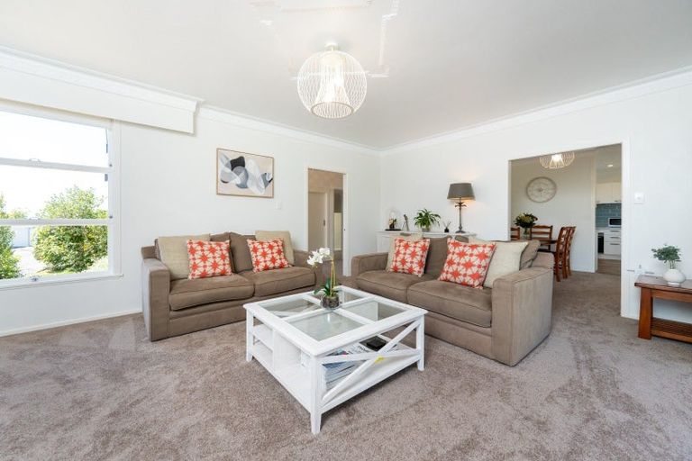 Photo of property in 12 Belmont Street, Havelock North, 4130