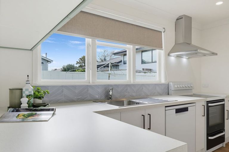 Photo of property in 423 Ruahine Street, Terrace End, Palmerston North, 4410