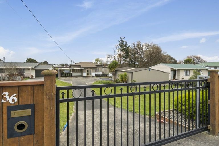Photo of property in 36 Avenue Road, Foxton, 4814