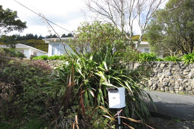 Photo of property in 45 Peel Place, Wainuiomata, Lower Hutt, 5014