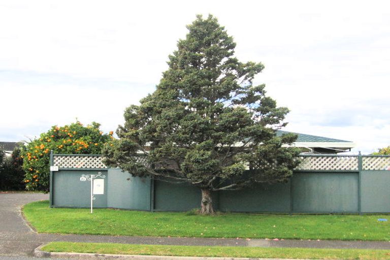 Photo of property in 73 Te Hono Street, Maungatapu, Tauranga, 3112