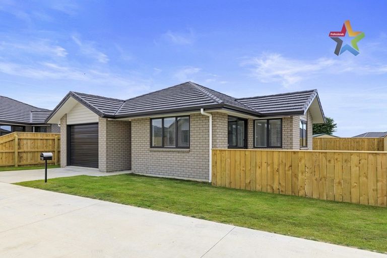 Photo of property in 71b Hinemoa Street, Levin, 5510