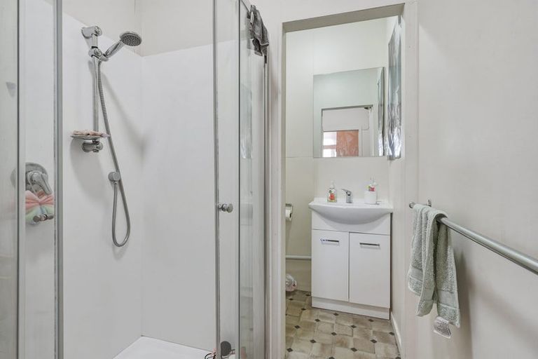 Photo of property in 66 Royal Terrace, Dunedin Central, Dunedin, 9016