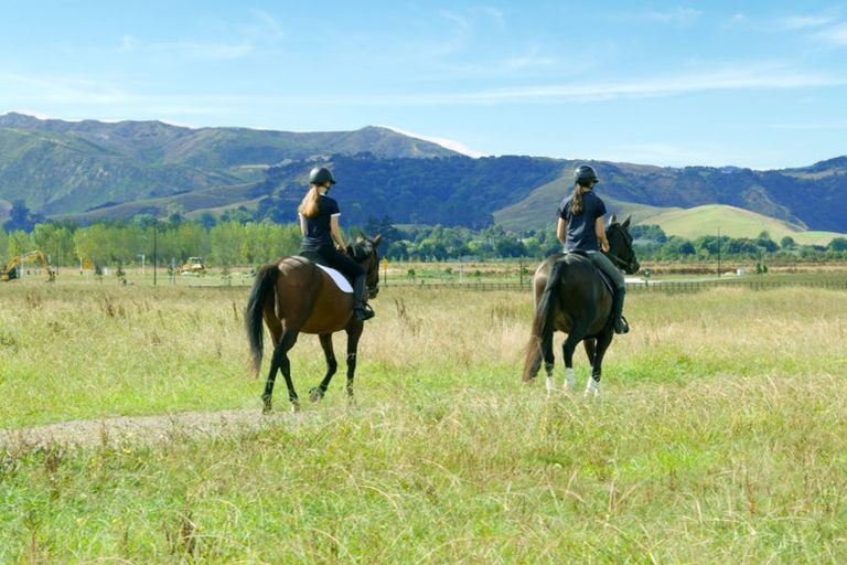 Photo of property in 144 Papakura-clevedon Road, Clevedon, Papakura, 2582