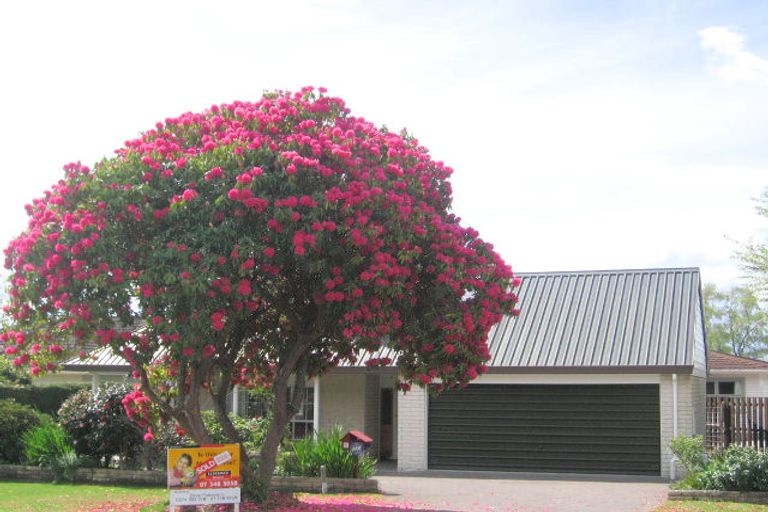 Photo of property in 4b Lewis Road, Lynmore, Rotorua, 3010