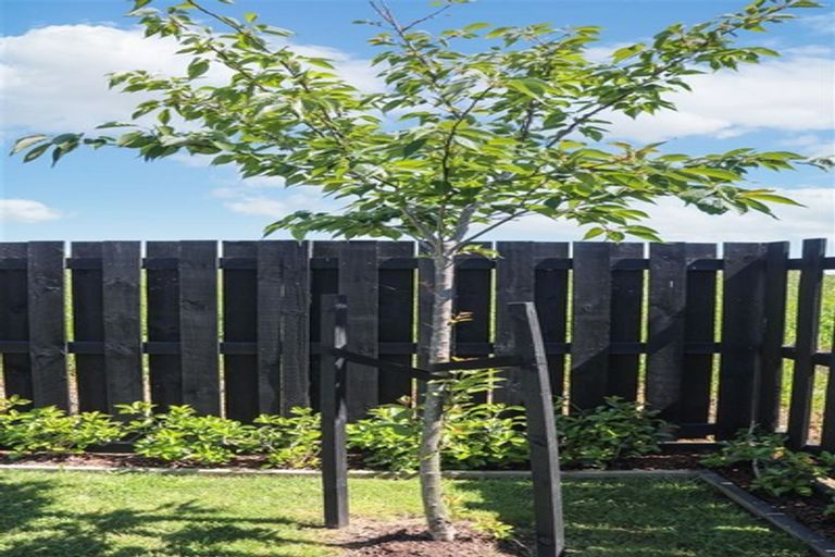 Photo of property in 132 Rimu Street, Te Kauwhata, 3710