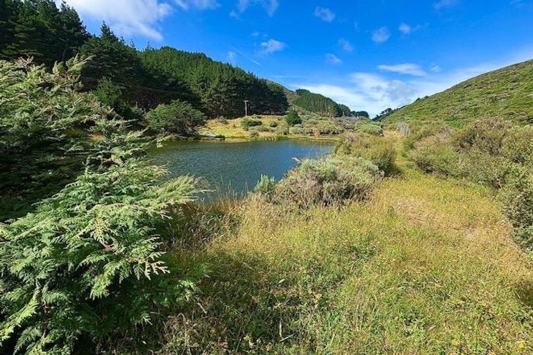 Photo of property in Long Gully Farm, 338 Southernthread Road, Brooklyn, Wellington, 6021