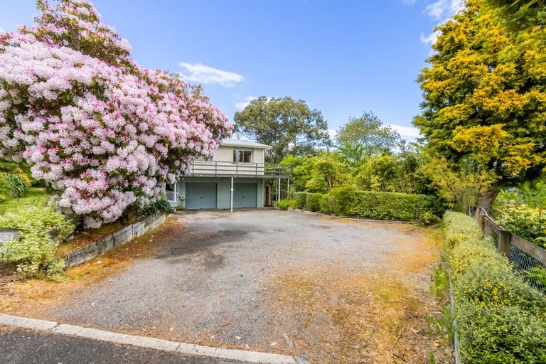 Photo of property in 63 Henry Hill Road, Taupo, 3330
