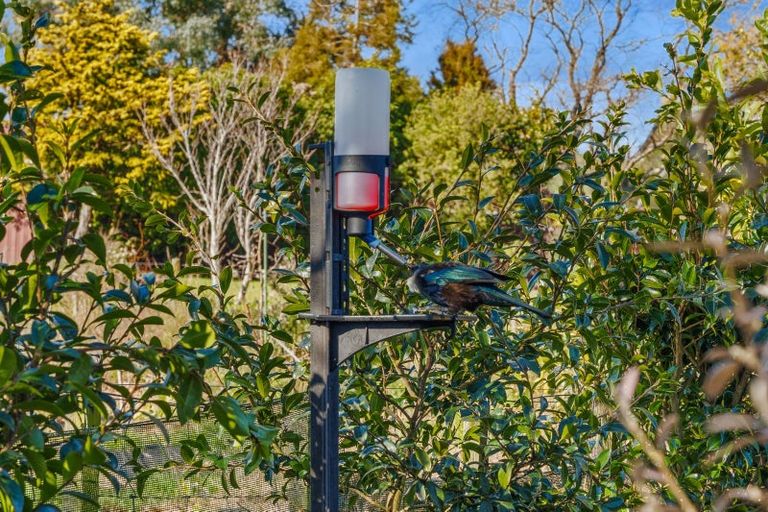 Photo of property in 17 Paterson Street, Pahiatua, 4910