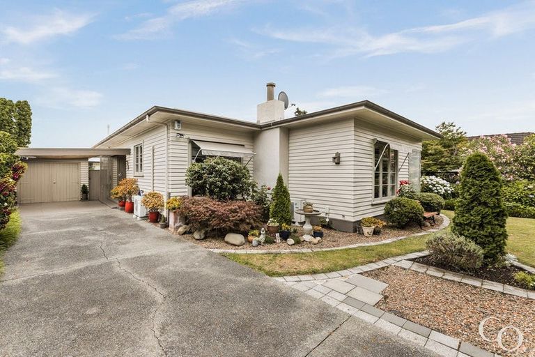 Photo of property in 904 Frederick Street West, Mahora, Hastings, 4120