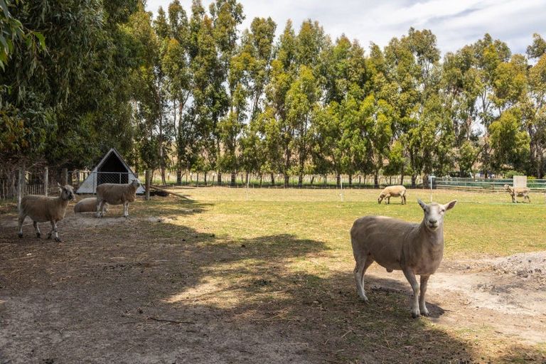 Photo of property in 57 Hardings Road, Riverlands, Blenheim, 7274