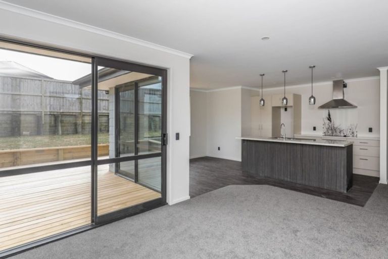 Photo of property in 17 Ribbonwood Close, Te Kauwhata, 3710