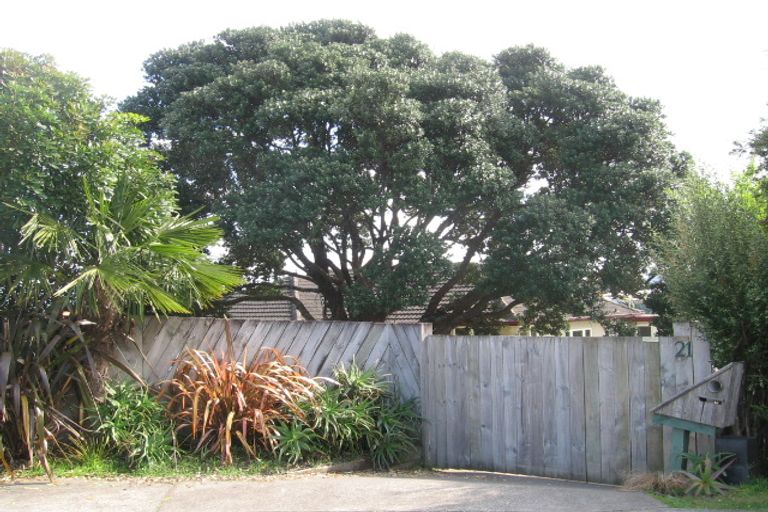 Photo of property in 21 Lincoln Terrace, Gate Pa, Tauranga, 3112